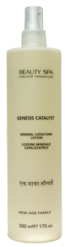 Genesis Catalyst